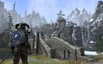 Skyrim Environment Screenshot - The Elder Scrolls Online (TESO)