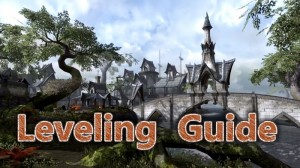 Leveling Guide & Tips