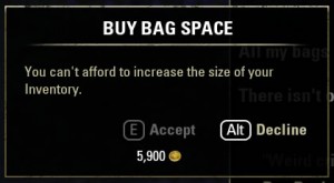 Buying inventory slots