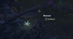 Collecting Nirnroot