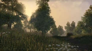 Cyrodiil-screenshot-07