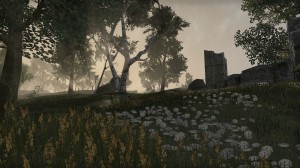 Cyrodiil-screenshot-08