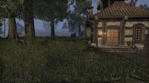 Cyrodiil-screenshot-10