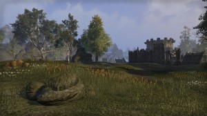 Cyrodiil-screenshot-11