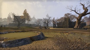 Cyrodiil-screenshot-17