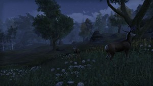 Cyrodiil-screenshot-23