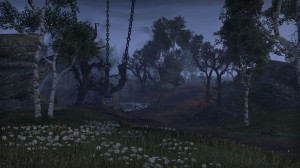 Cyrodiil-screenshot-25