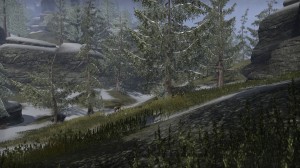 Cyrodiil-screenshot-32