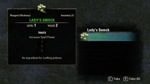 Lady's Smock