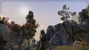 Samurai-heavy-armor-screenshot-2