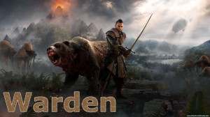 Warden Guide